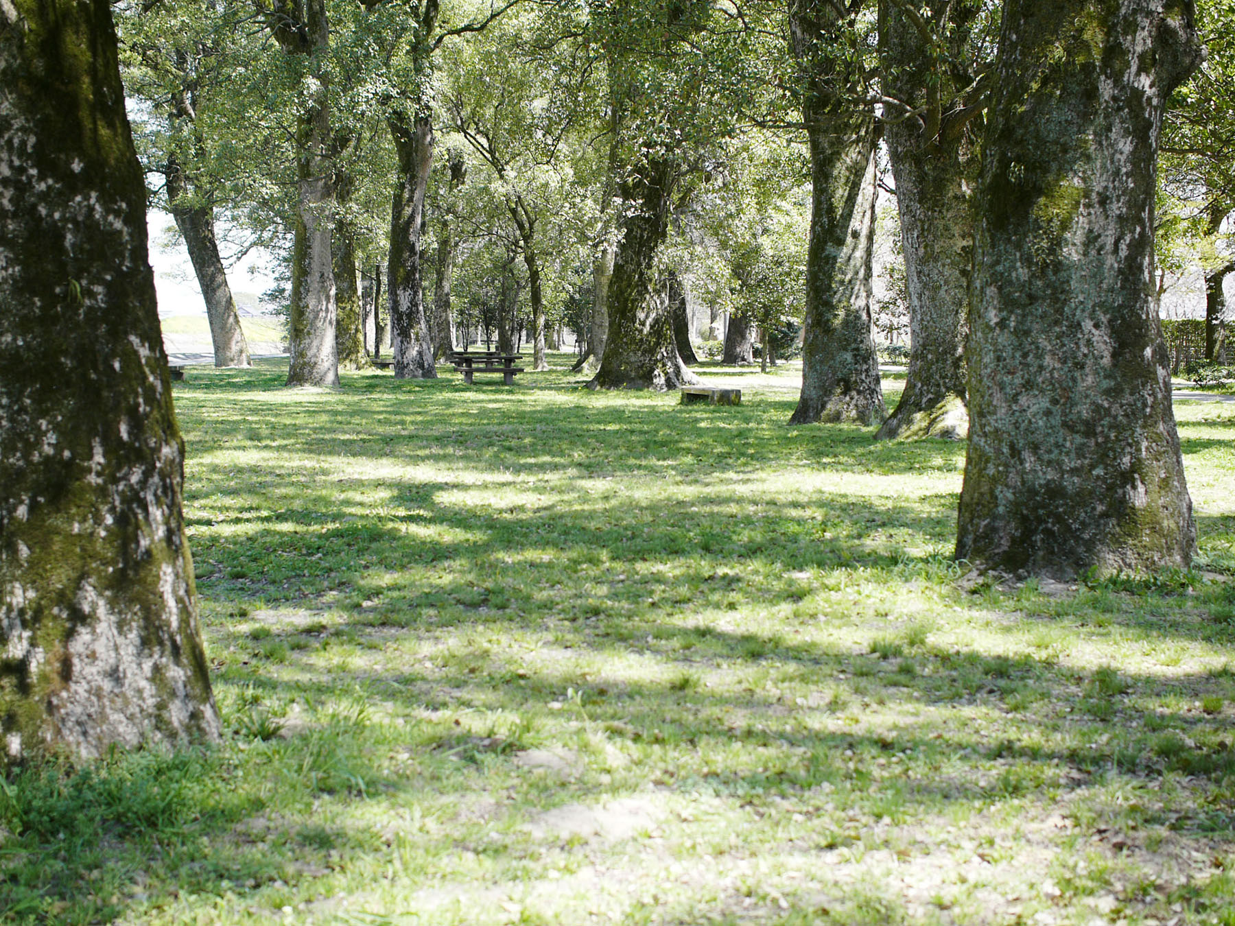 船小屋中ノ島公園